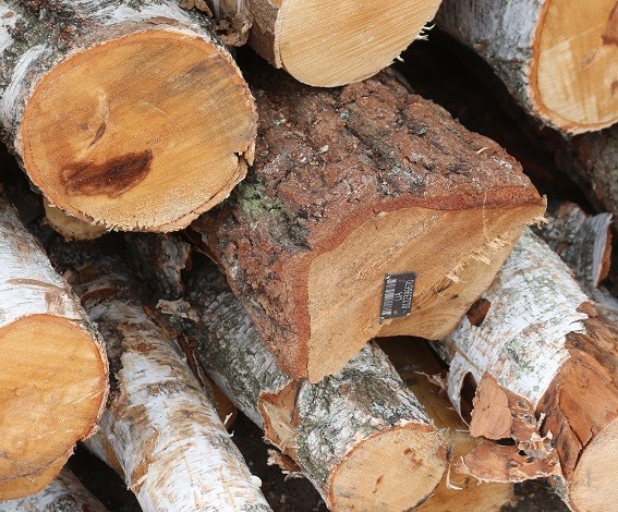 Design Professionals images